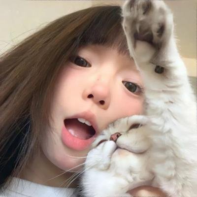 灵界回路
