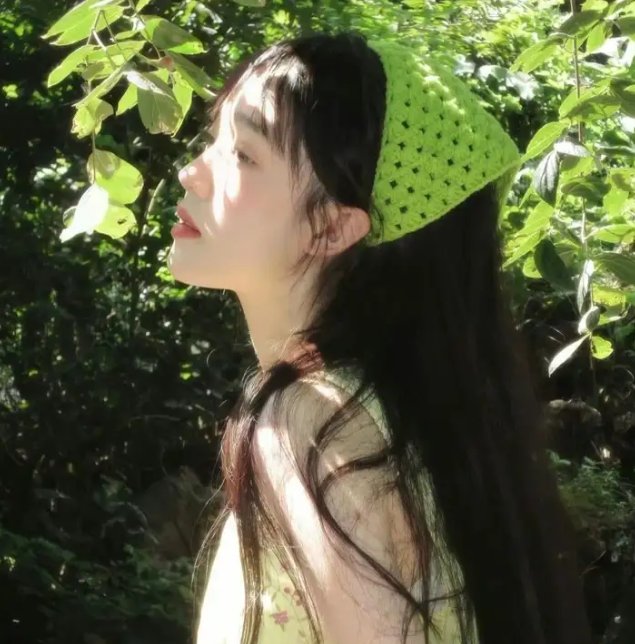 荷兰人的假期